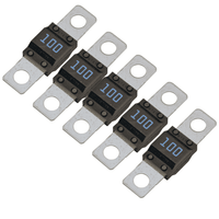 Victron MIDI-fuse 100A/32V (pack of 5) Main Image