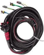 Wakespeed WS500 P-type wiring harness with CAN bus in harness - extra length tails Main Image