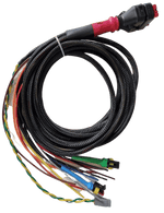 Wakespeed WS500 P-type wiring harness with CAN bus in harness Main Image