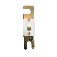 Top-down view of 175A ANL fuse featuring gold-plated terminals and white ceramic housing