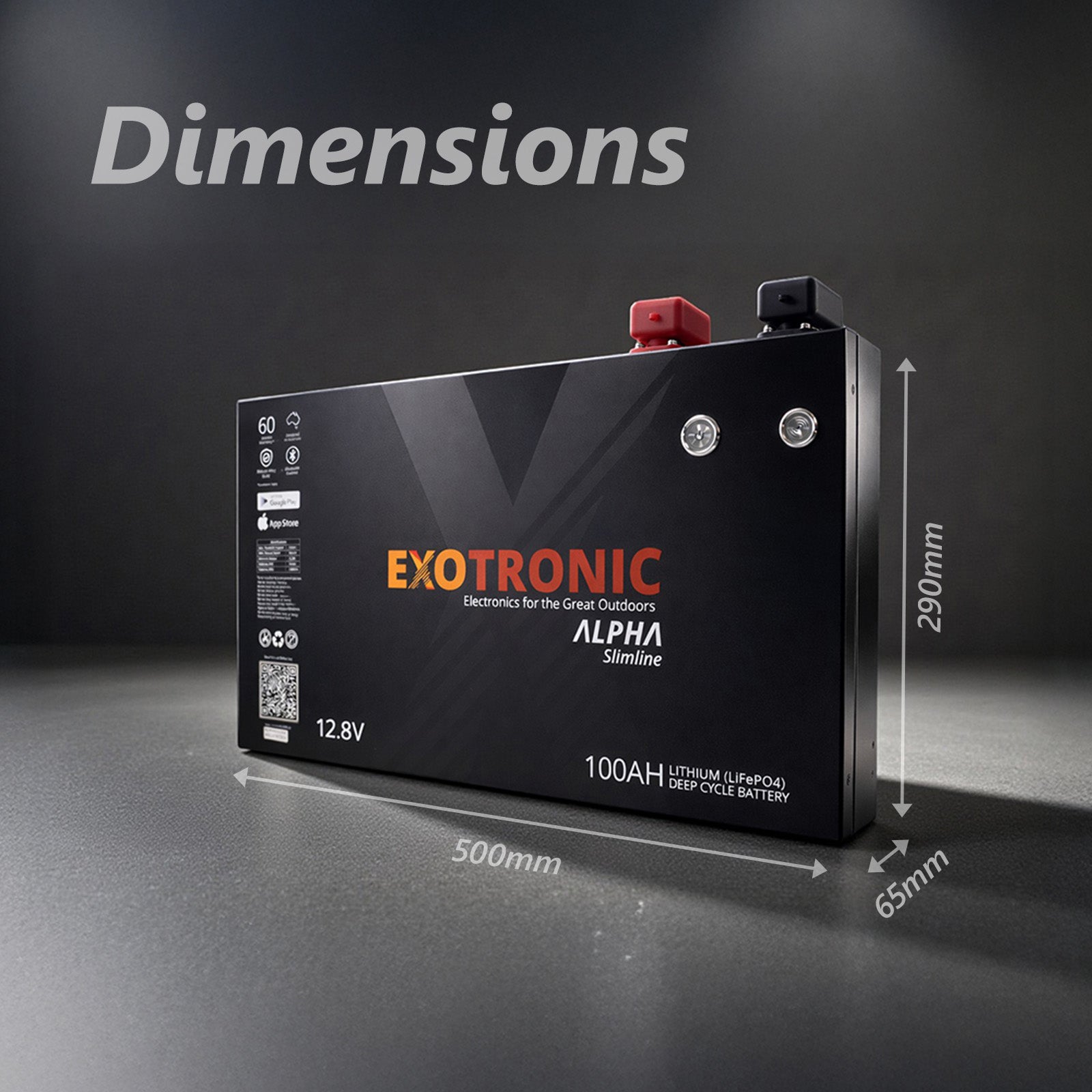 Diagram showing Exotronic 100Ah battery dimensions: 500mm L x 290mm H x 65mm W