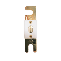 Top-down view of 200A ANL fuse with gold-plated terminals and ceramic housing