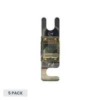 Exotronic 175A Midi/AMI/ANS Fuse - 5 pack