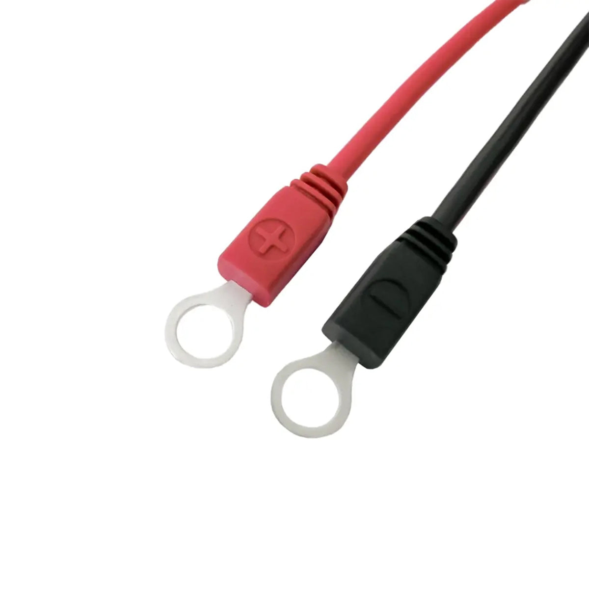 Red and black colour-coded M8 ring terminals for battery connection