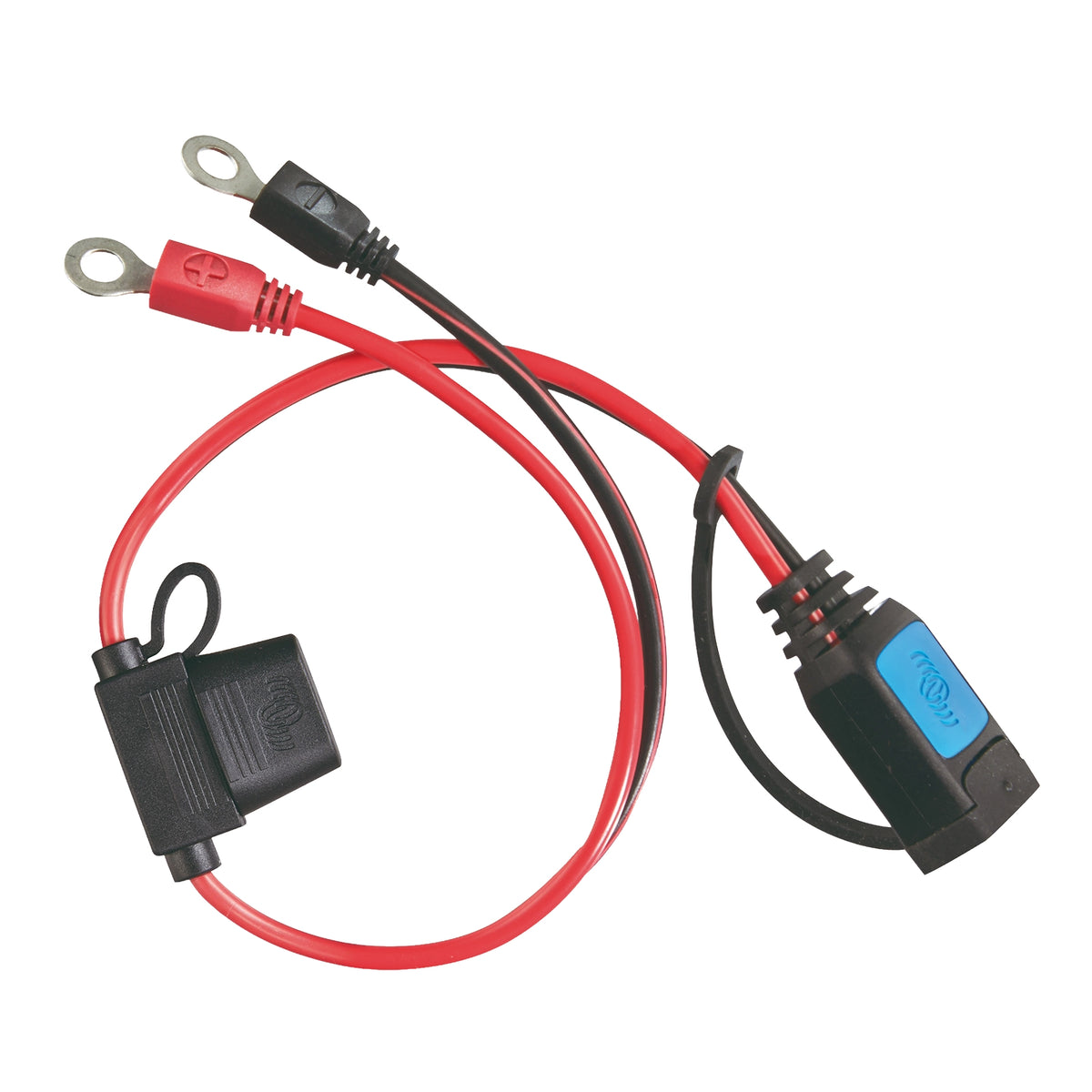 M8 eyelet connector with 30A inline fuse and DC plug for Victron IP65 chargers