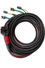 Coiled black Wakespeed WS500 wiring harness with P-CAN connector and multiple sensor plugs